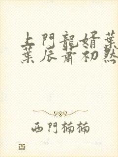 上门龙婿叶辰 叶辰萧初然最新