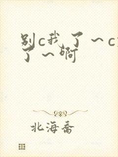 别c我了～c烂了～啊封面