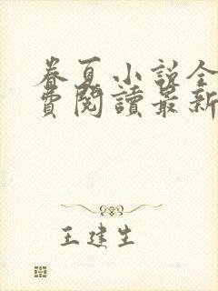 眷夏小说全文免费阅读最新章节