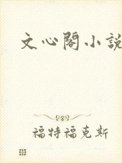 文心阁小说