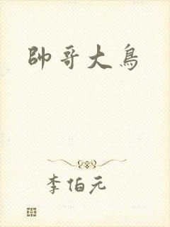 帅哥大鸟
