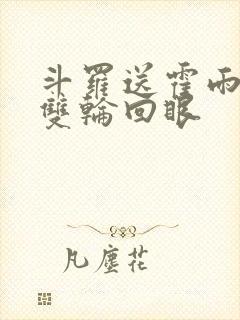 斗罗送霍雨浩一双轮回眼