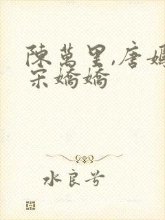 陈万里,唐嫣然宋娇娇封面