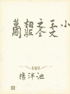 万相之王小说未删版全文封面