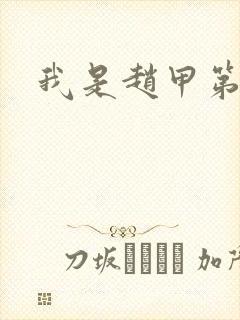 我是赵甲第小说