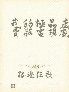 我的极品老婆免费版电视剧第三季