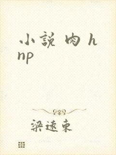 小说 肉 h np