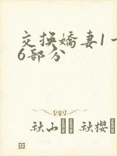 交换娇妻1一36部分