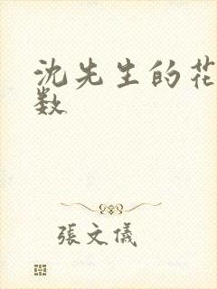 沈先生的花式调数