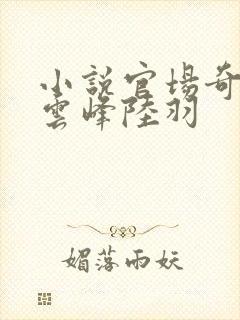 小说官场奇才刘云峰陆羽