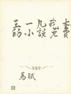 王一凡我本风流的小说免费阅读笔趣阁