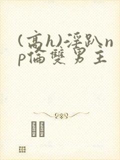 (高h)淫趴np伦双男主封面