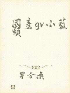 国产gv小蓝视频
