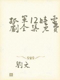 孤军12时电视剧全集免费播放高清