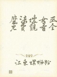 魔法坏女巫国语免费观看全集