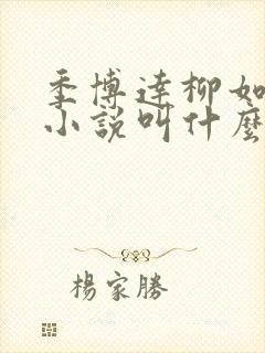 季博达柳如烟的小说叫什么