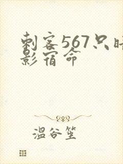 刺客567只暗影宿命