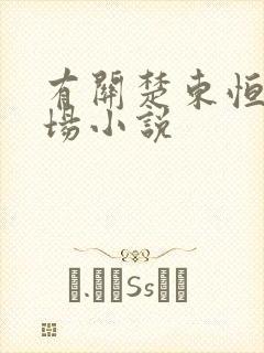 有关楚东恒的官场小说封面