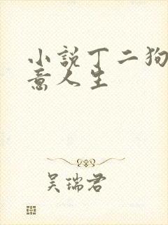 小说丁二狗的肆意人生