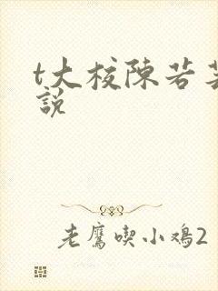 t大校陈若芸小说