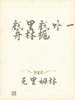 戏里戏外一叶孤舟林栀封面