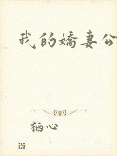 我的娇妻公务员