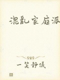 混乱家庭派对封面