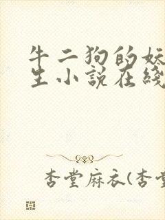 牛二狗的妖孽人生小说在线阅读