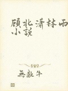 顾北潇林雨菲的小说封面