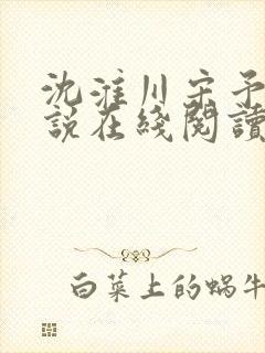 沈淮川宋予凝小说在线阅读