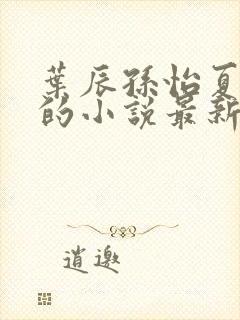 叶辰孙怡夏若雪的小说最新