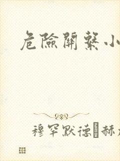 危险关系小说封面