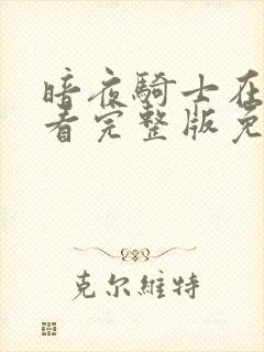 暗夜骑士在线观看完整版免费高清