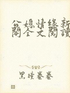 公媳情缘新笔趣阁全文阅读