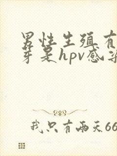 男性生殖有小肉芽是hpv感染吗?