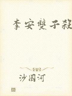 李安双子杀手封面