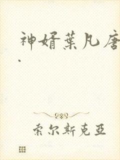 神婿叶凡唐若雪.