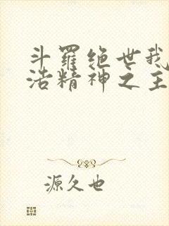 斗罗绝世我霍雨浩精神之主小说