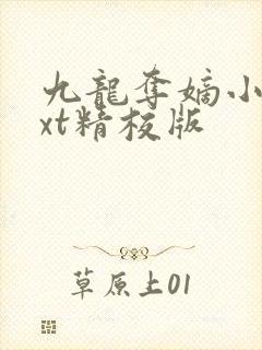 九龙夺嫡小说txt精校版