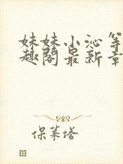 妹妹小沁等级笔趣阁最新章节封面