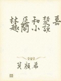 林辰和楚嘉雪笔趣阁小说