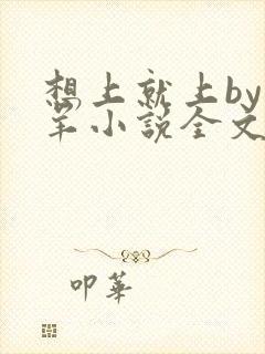 想上就上by迷羊小说全文免费阅读