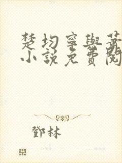 楚均宁与萧王的小说免费阅读全文封面