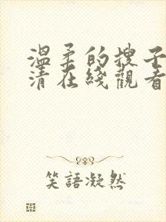 温柔的搜子2高清在线观看封面