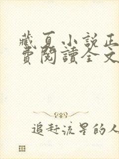 藏夏小说正版免费阅读全文无弹窗