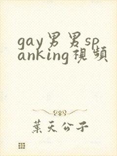 gay男男spanking视频