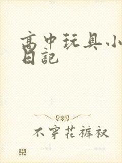 高中玩具小诗的日记