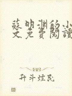 苏明渊的小说全文免费阅读无弹窗封面