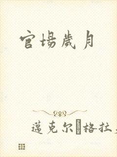 官场岁月