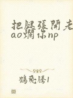 把腿张开老子cao烂你np